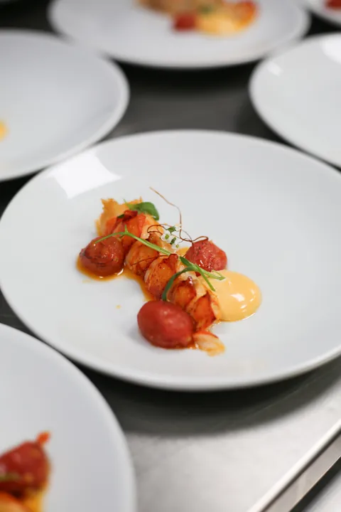 A tomato course on a white plate